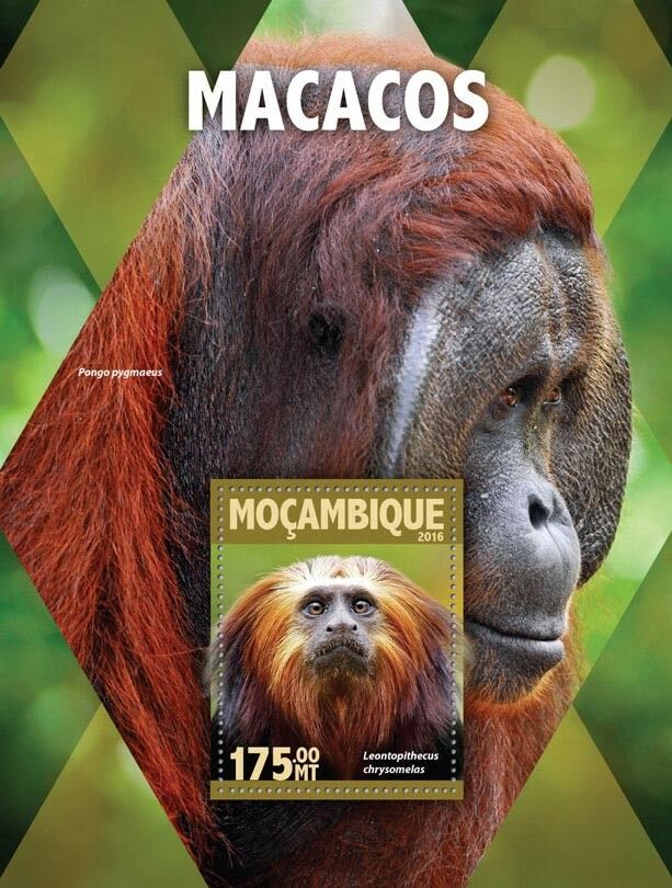 Mozambique 2016 MNH Monkeys Tamarins Orangutans 1v S/S Wild Animals Stamps