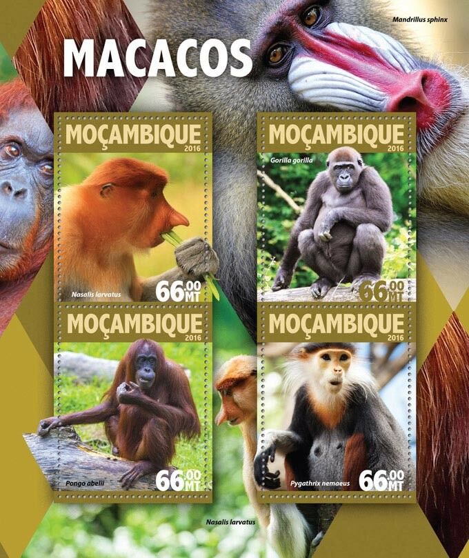 Mozambique 2016 MNH Wild Animals Stamps Monkeys Gorillas Orangutans 4v M/S