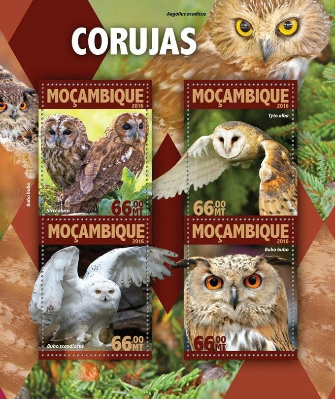 Mozambique 2016 MNH Owls Tawny Barn Snowy Owl 4v M/S Birds Stamps