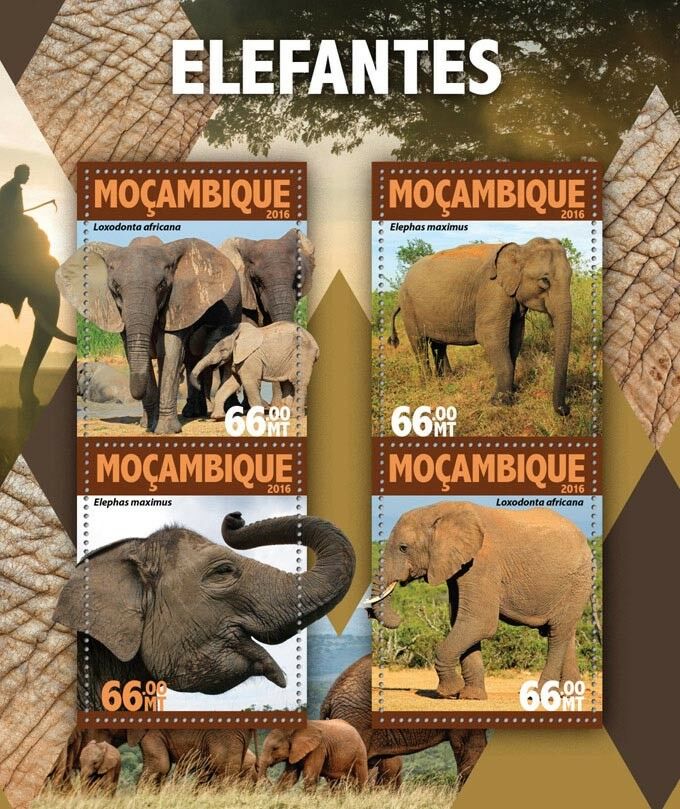 Mozambique 2016 MNH Elephants African Asian Elephant 4v M/S Wild Animals Stamps