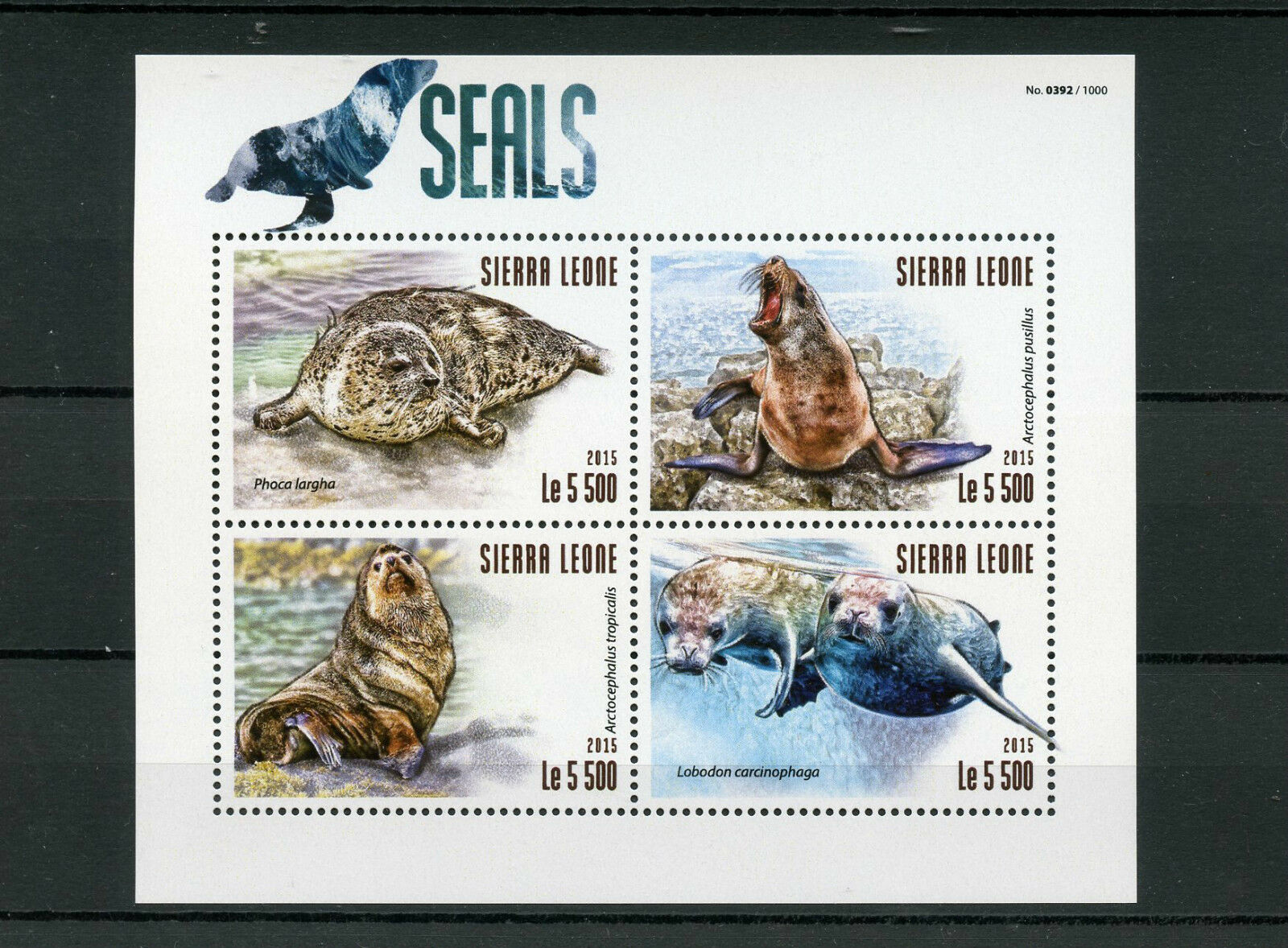 Sierra Leone 2015 MNH Seals 4v M/S Marine Mammals Spotted Seal Brown Fur Seal