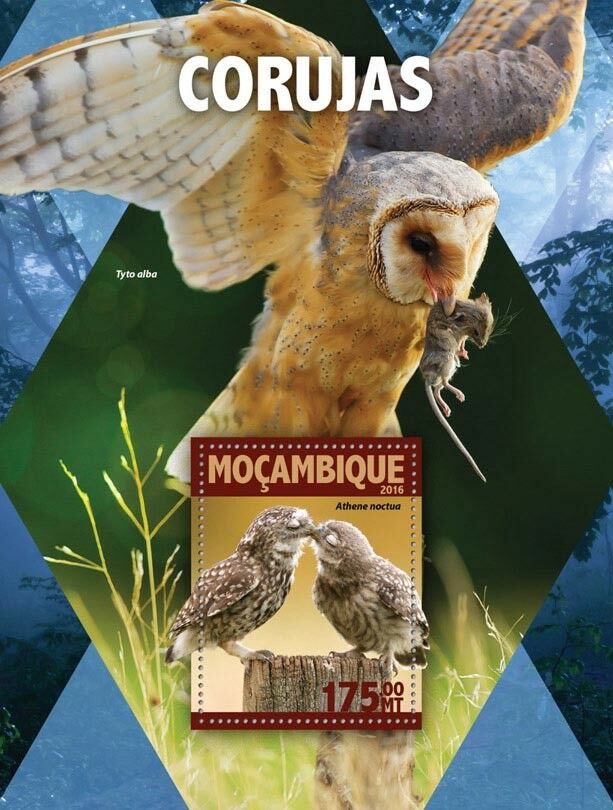 Mozambique 2016 MNH Birds on Stamps Owls Barn Little Owl 1v S/S