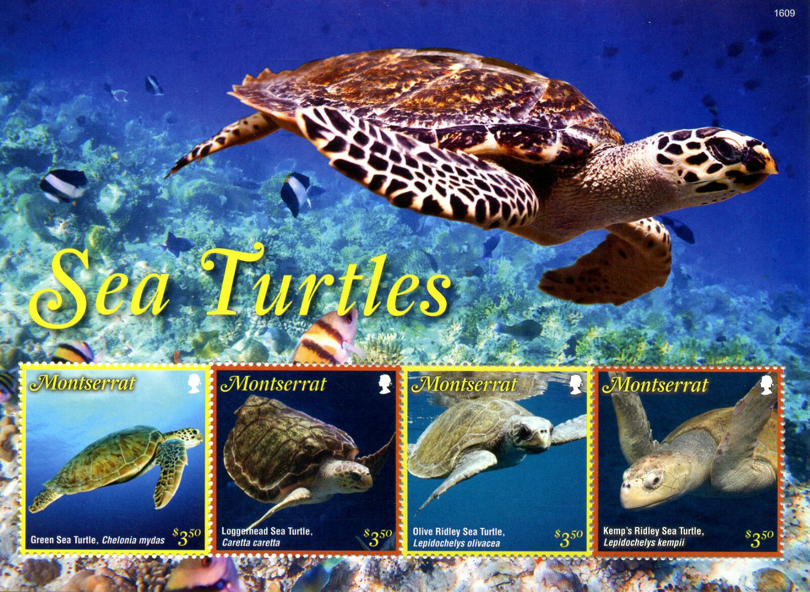 Montserrat Sea Turtles Stamps 2016 MNH Green Ridley Sea Turtle Reptiles 4v M/S