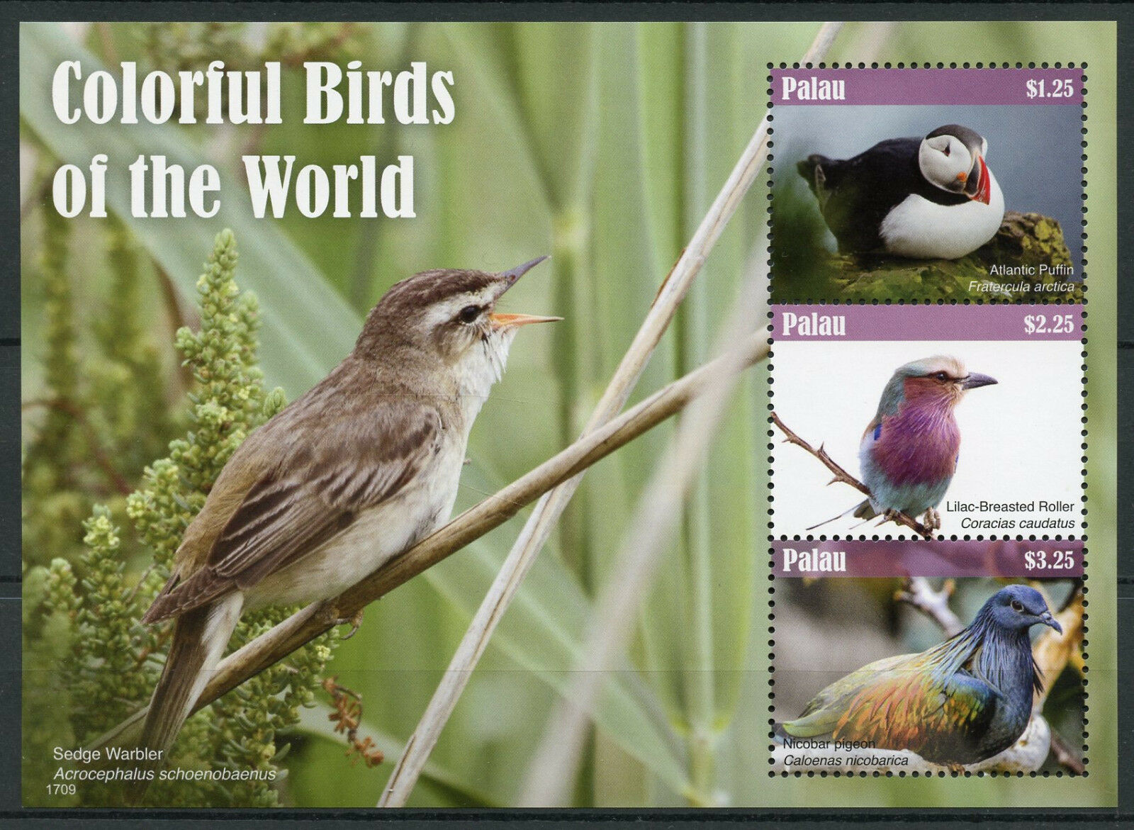 Palau Stamps 2017 MNH Colorful Birds of World Roller Puffins Pigeons 3v M/S I