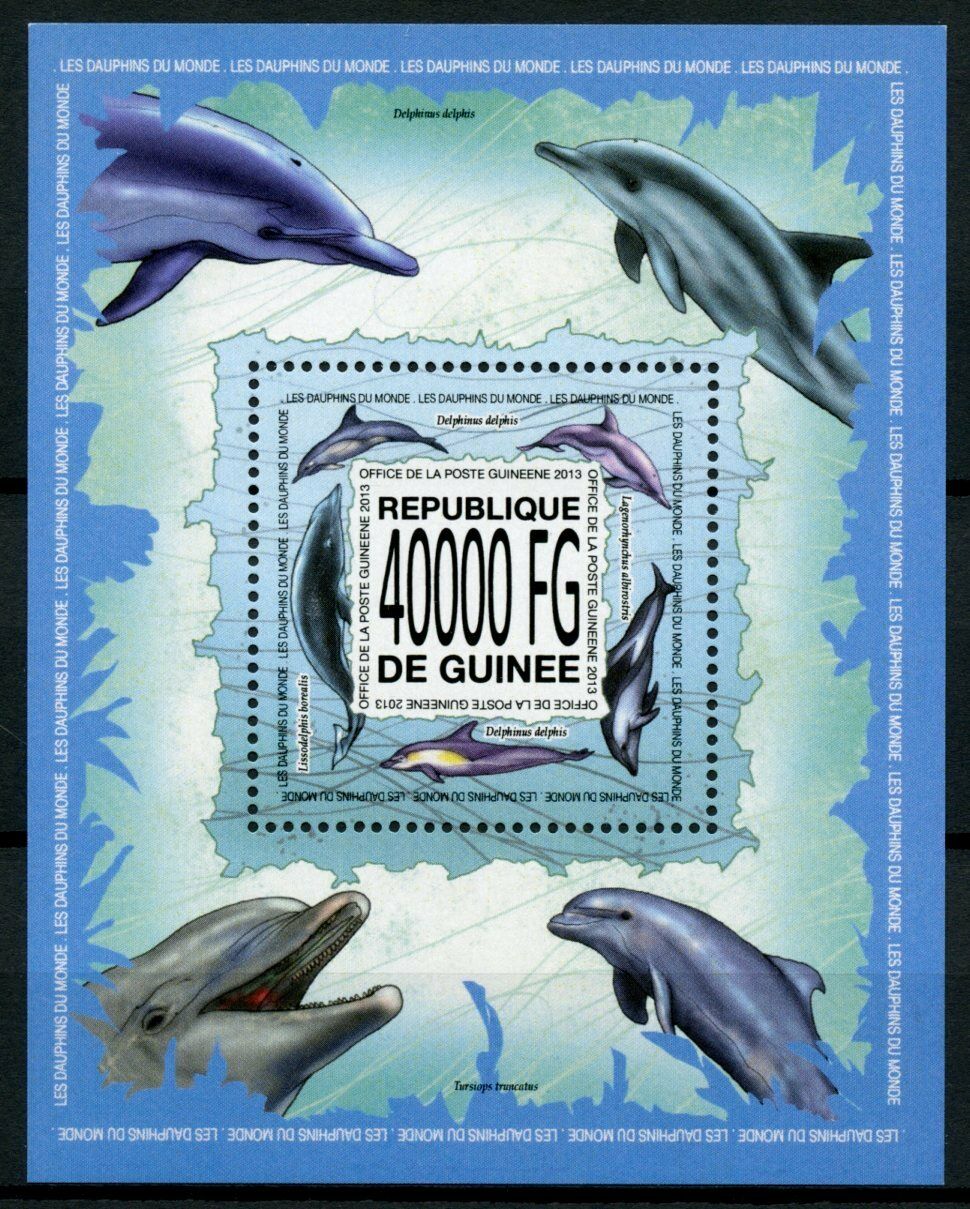 Guinea Marine Animals Stamps 2013 MNH Dolphins Short-Beaked Dolphin 1v S/S