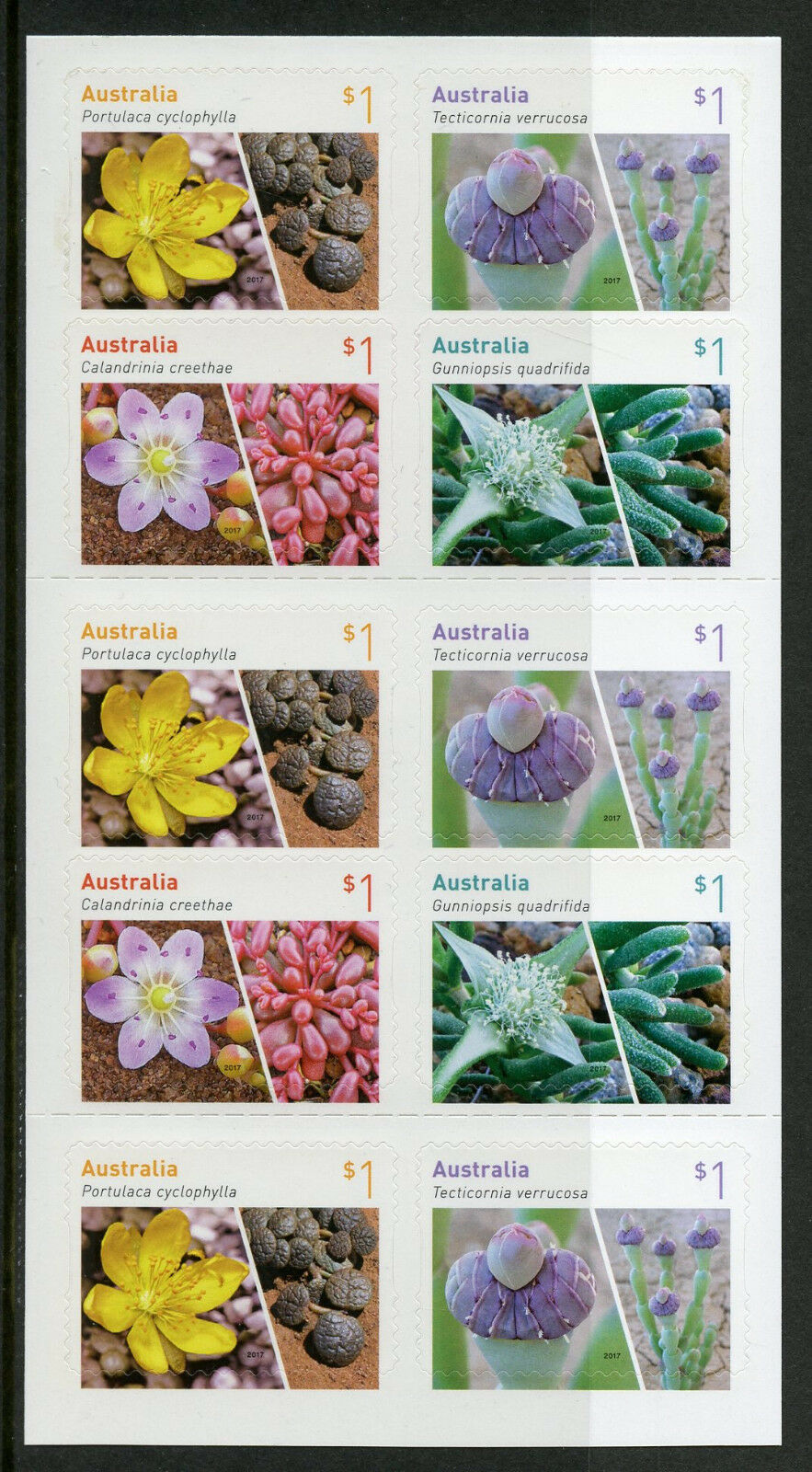 Australia 2017 MNH Succulent Plants Caladrinia 10v S/A Booklet Flowers Stamps