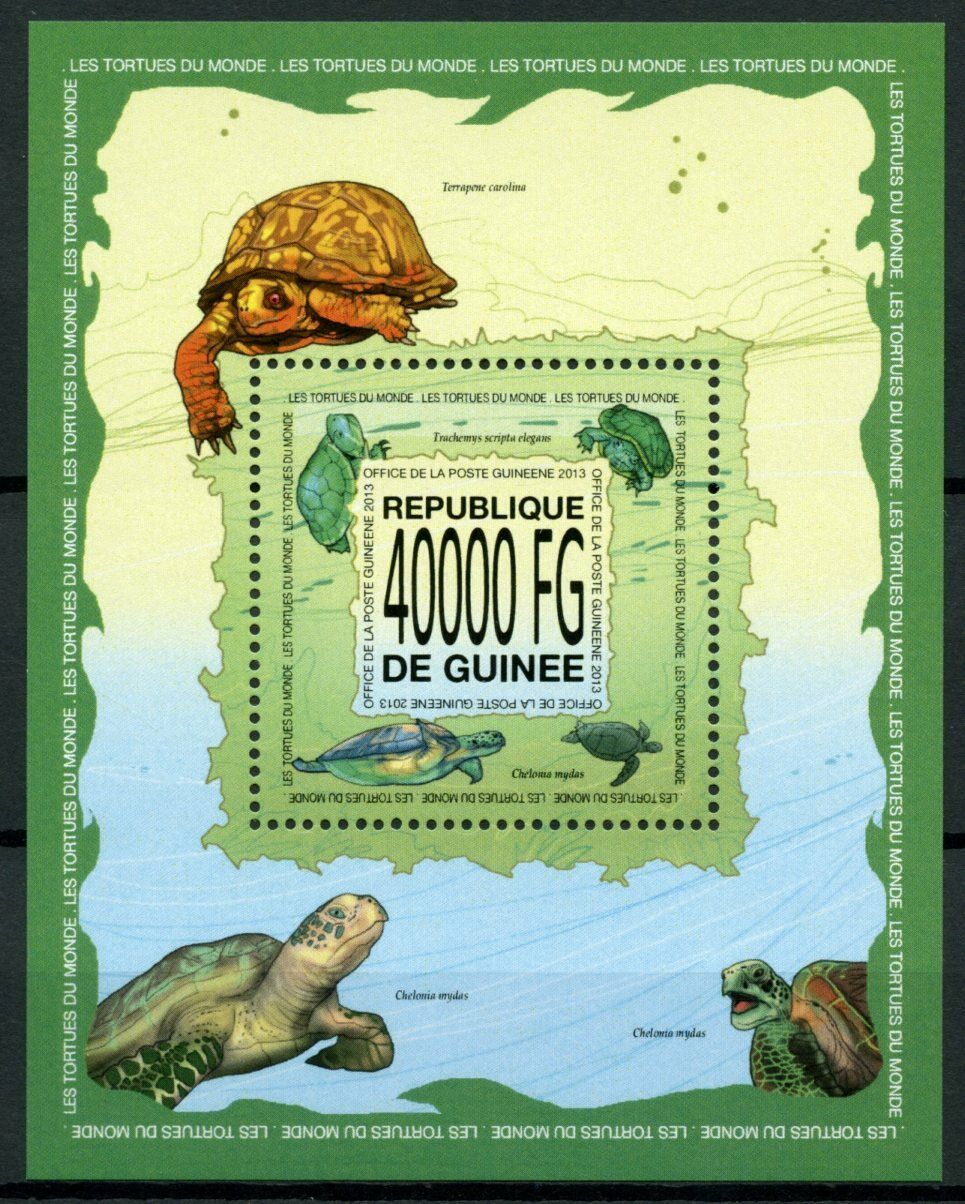 Guinea Turtles Stamps 2013 MNH Green Sea Turtle Reptiles Fauna 1v S/S