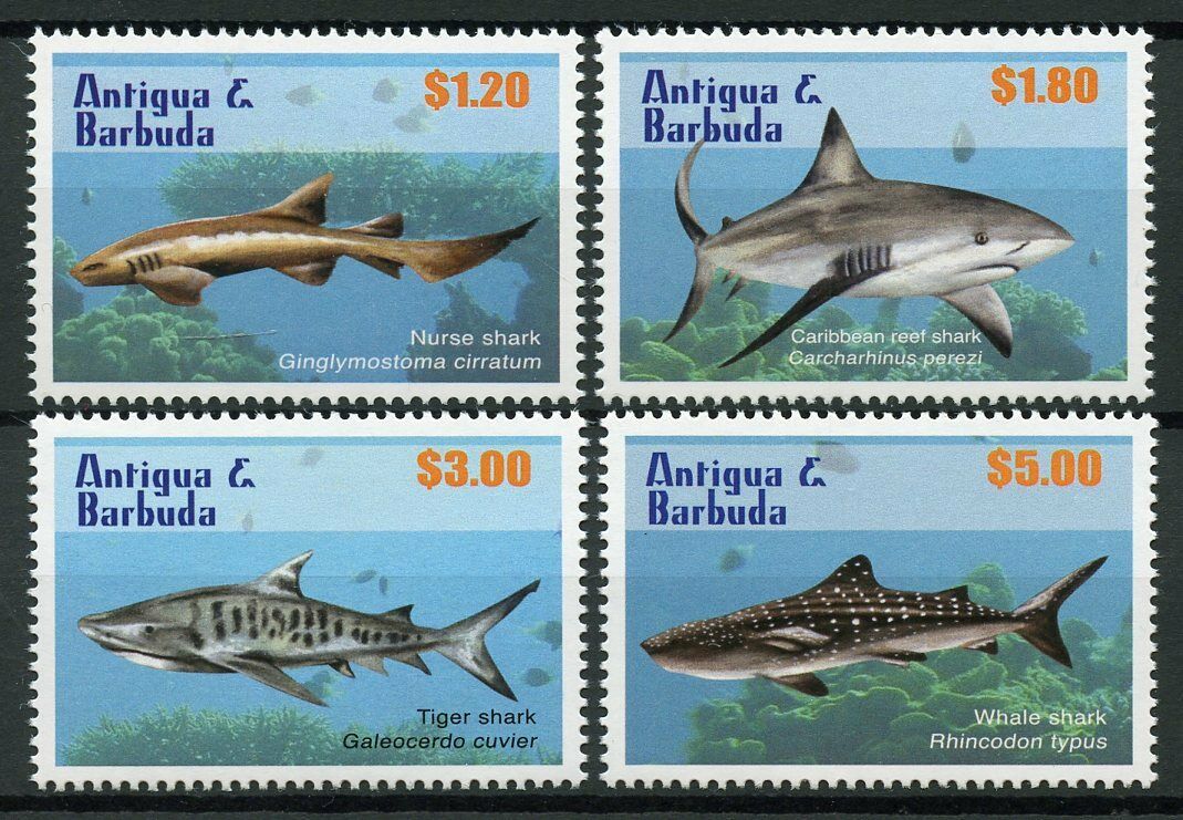 Antigua & Barbuda 2010 MNH Sharks Stamps Whale Nurse Shark Marine Animals 4v Set