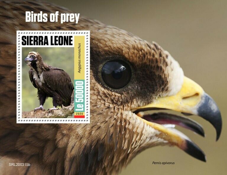 Sierra Leone Birds of Prey on Stamps 2020 MNH Vultures Honey Buzzards 1v S/S