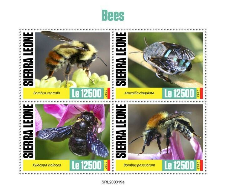Sierra Leone Bees Stamps 2020 MNH Carpenter Bee Bumblebee Insects 4v M/S