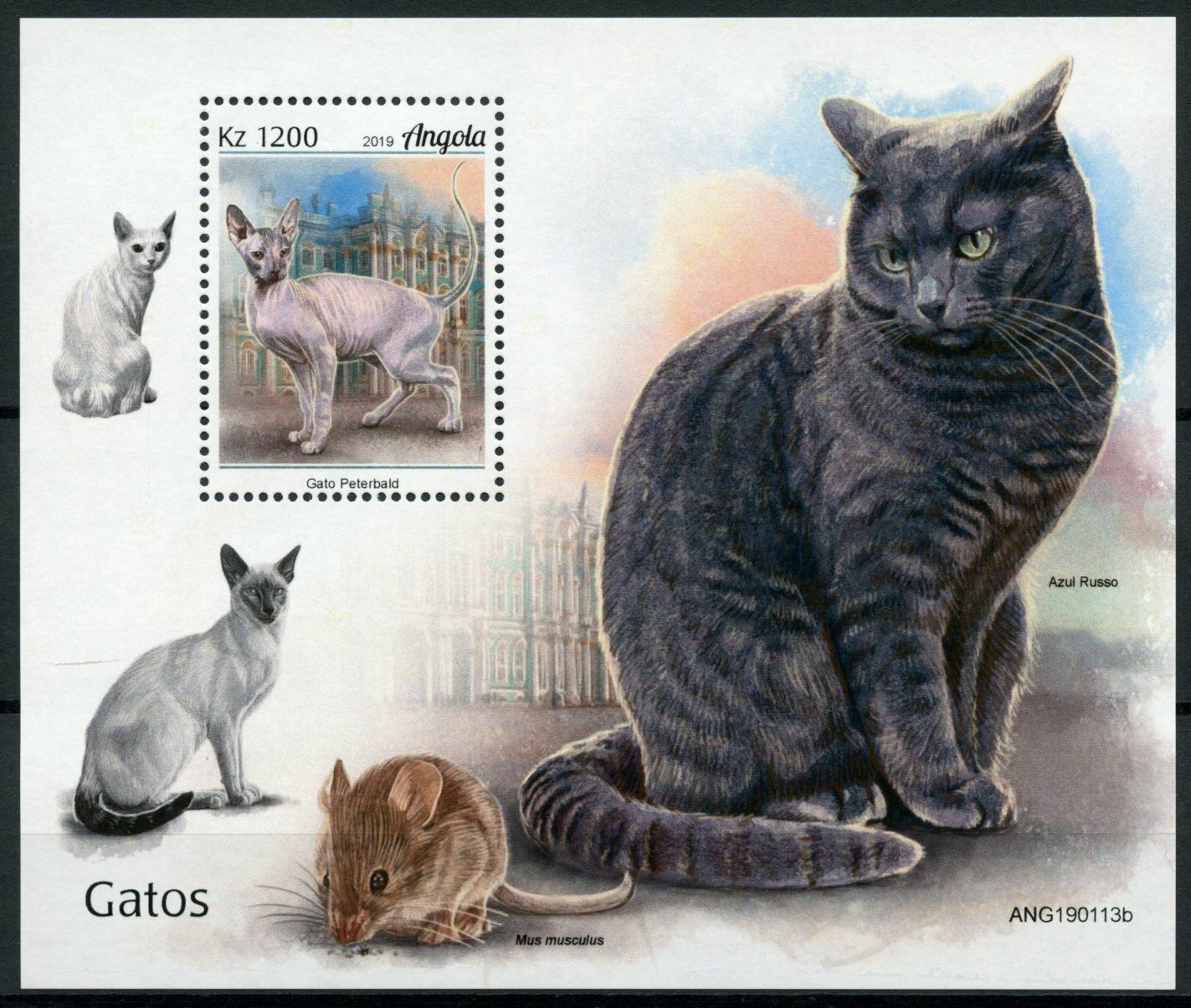 Angola 2019 MNH Cats Stamps Peterbald Russian Blue Cat Domestic Animals 1v M/S