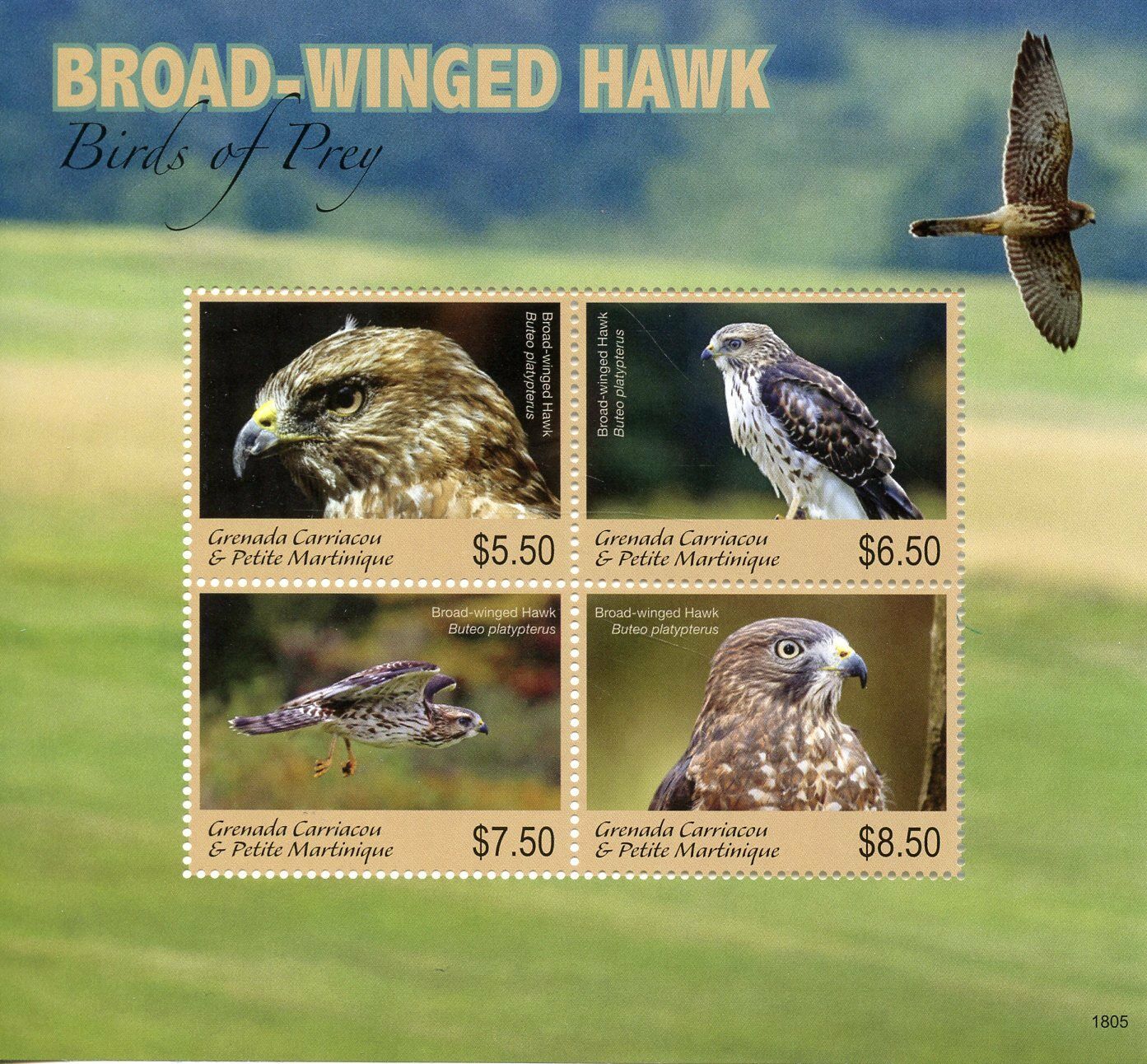 Grenada Grenadines 2018 MNH Broad-winged Hawk Birds of Prey 4v M/S Hawks Stamps