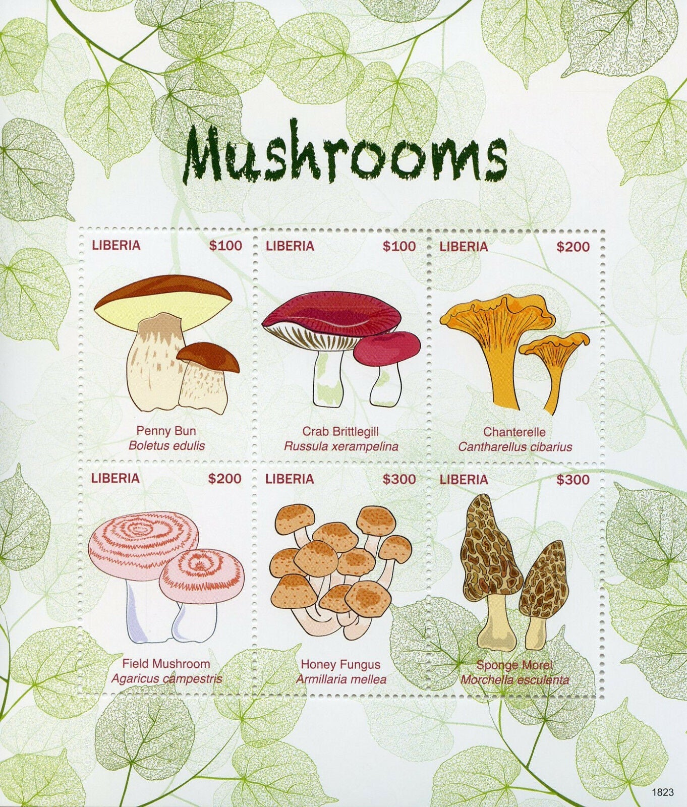 Liberia 2018 MNH Mushrooms Stamps Fungi Morel Chanterelle Boletus 6v M/S