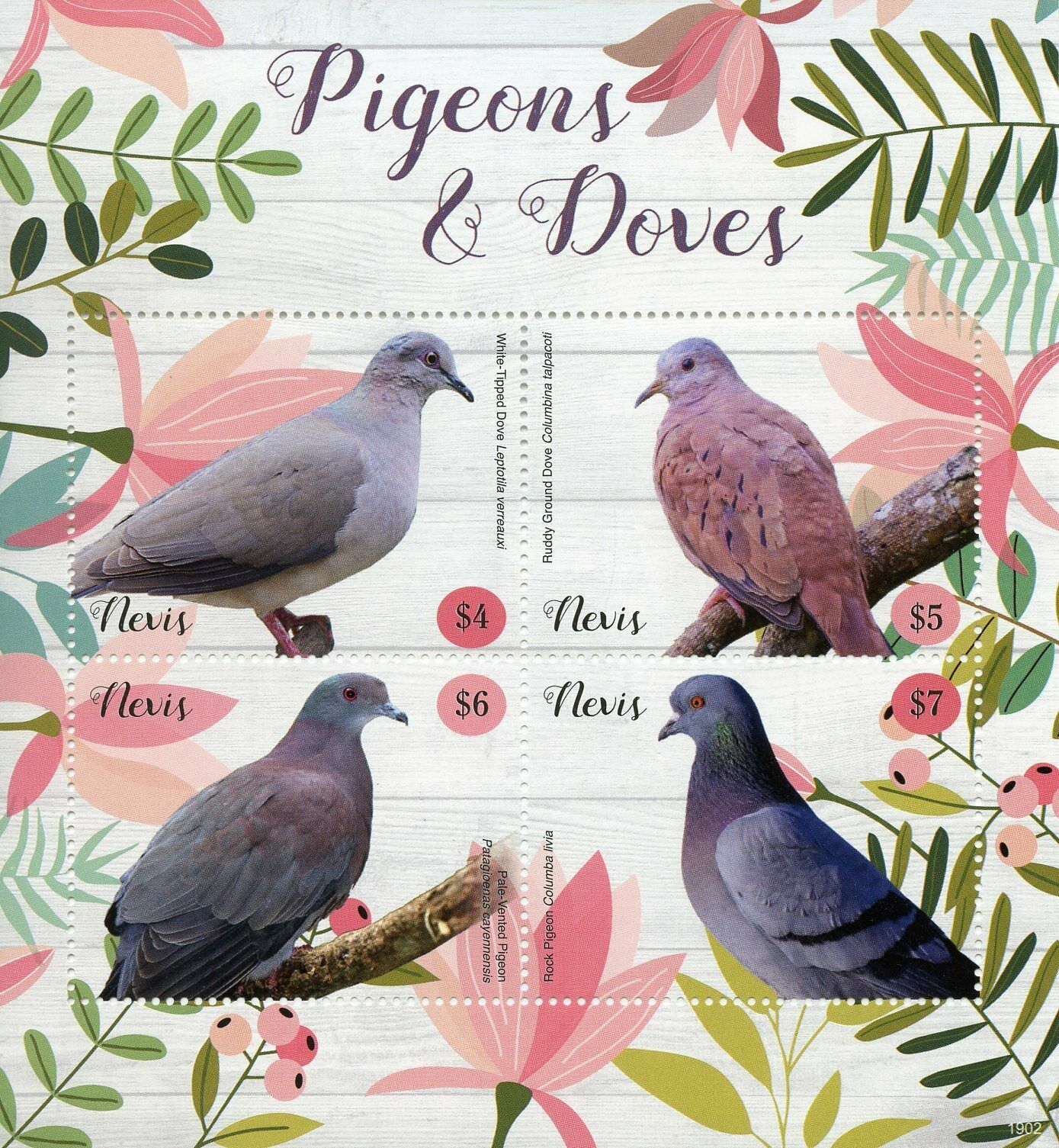 Nevis 2019 MNH Birds on Stamps Pigeons & Doves Ruddy Ground Dove Rock Pigeon 4v M/S