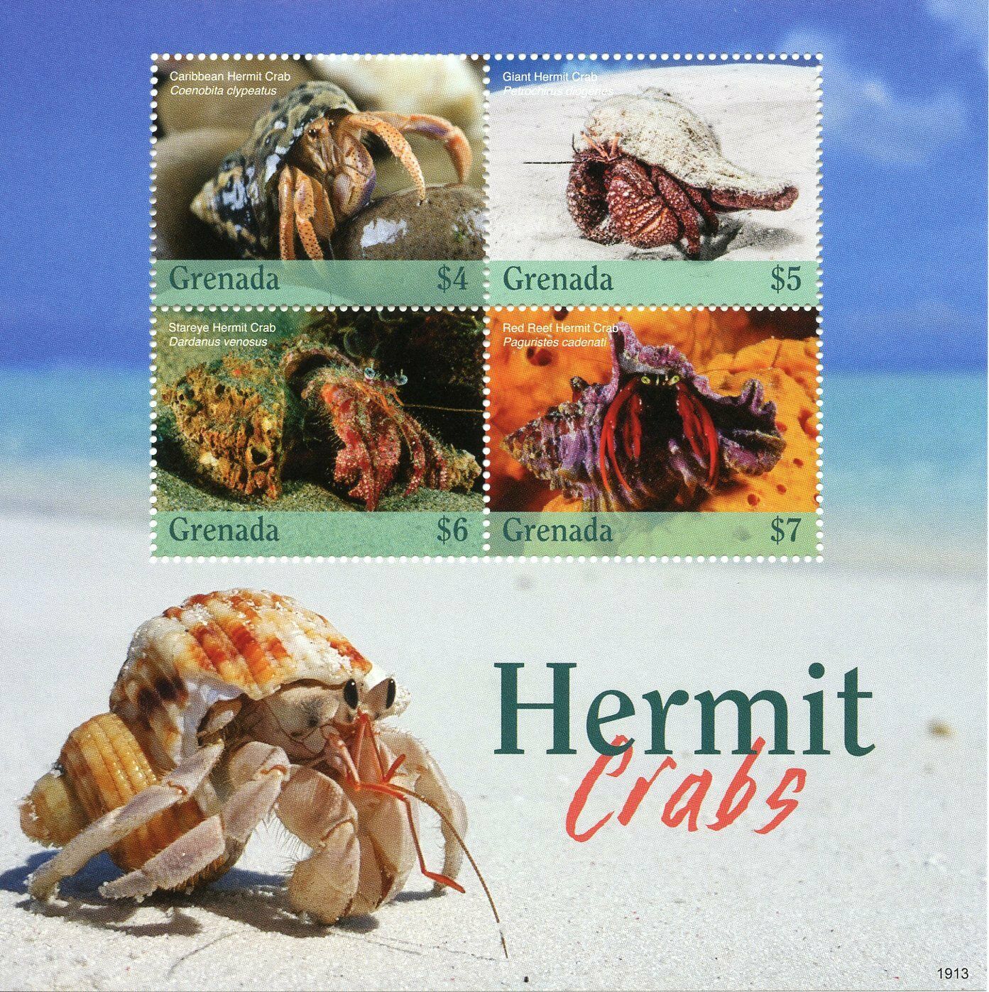 Grenada 2019 MNH Marine Animals Stamps Hermit Crabs Seashells 4v M/S