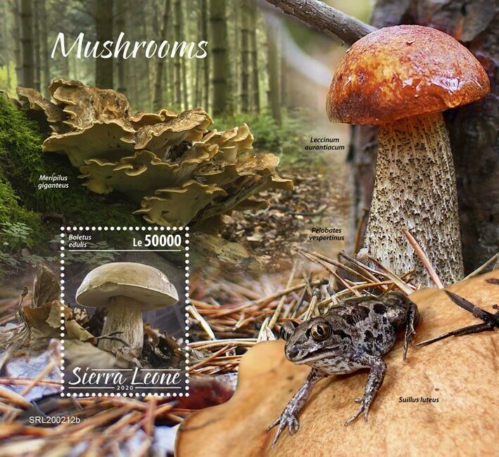 Sierra Leone Mushrooms Stamps 2020 MNH Fungi Boletus Mushroom Nature 1v S/S