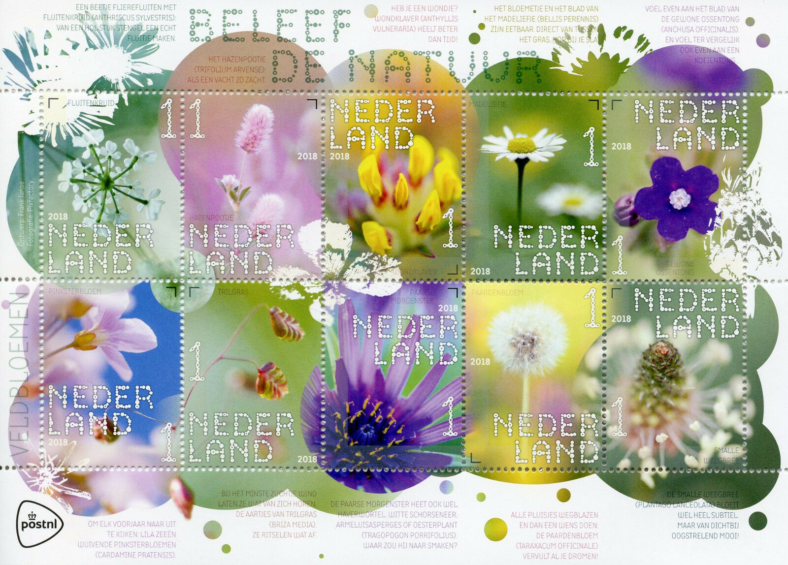 Netherlands 2018 MNH Experience Nature Meadow Wild Flowers 10v M/S Stamps