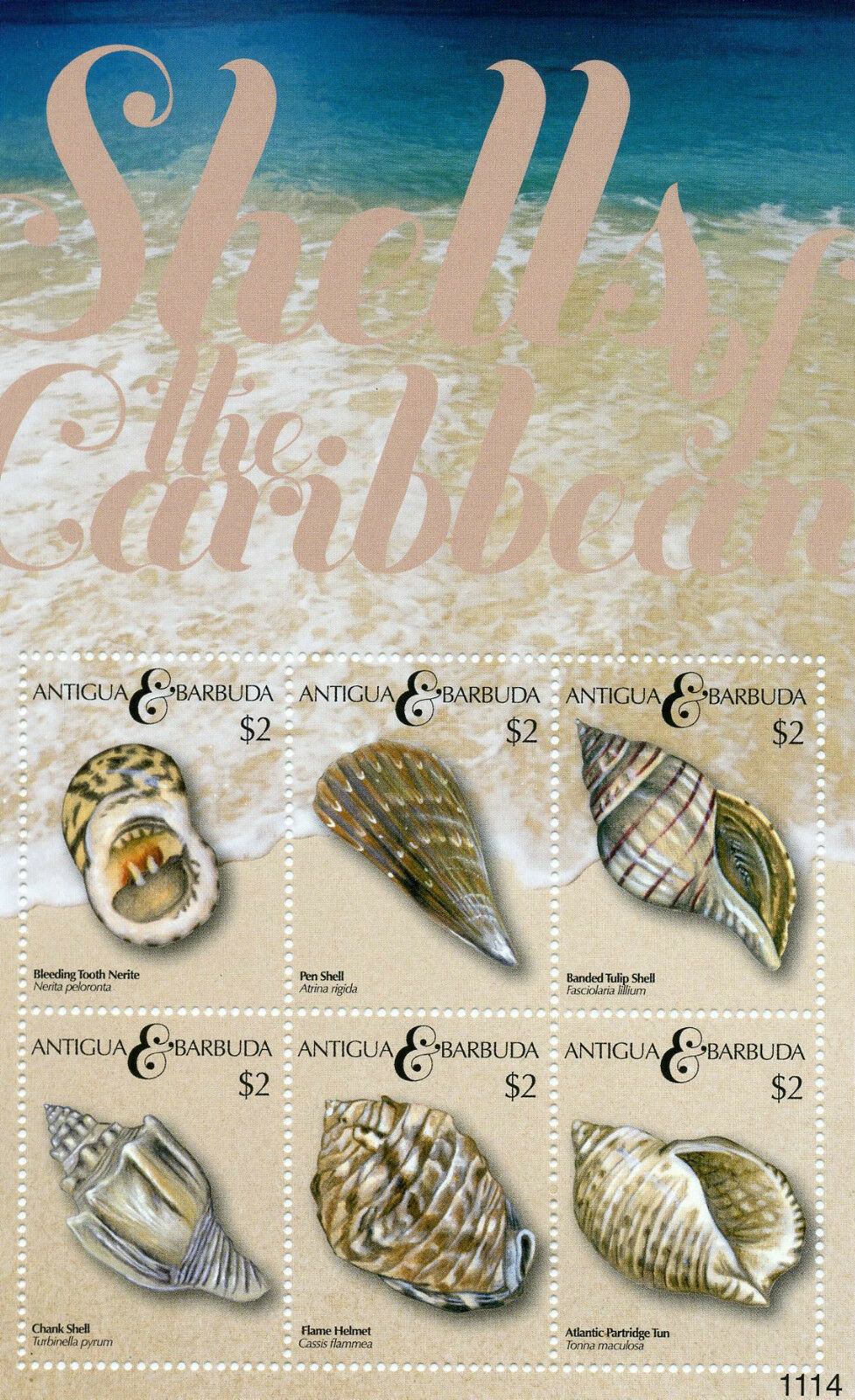 Antigua & Barbuda Seashells Stamps 2011 MNH Shells of Caribbean Nerite 6v M/S I
