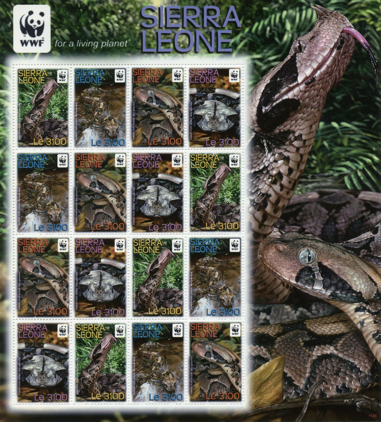 Sierra Leone WWF Stamps 2011 MNH Forest Puff Adder Snakes Reptiles 16v M/S