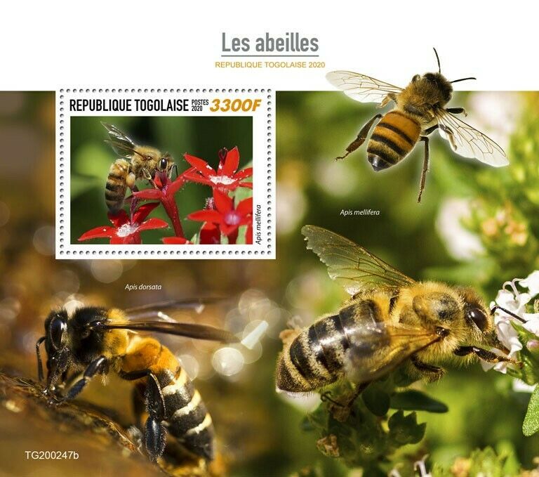 Togo Bees Stamps 2020 MNH Honey Bee Insects 1v S/S
