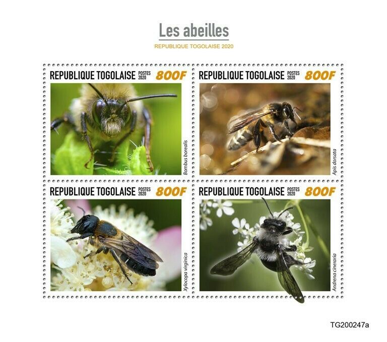 Togo Bees Stamps 2020 MNH Honey Bee Bumblebee Insects 4v M/S