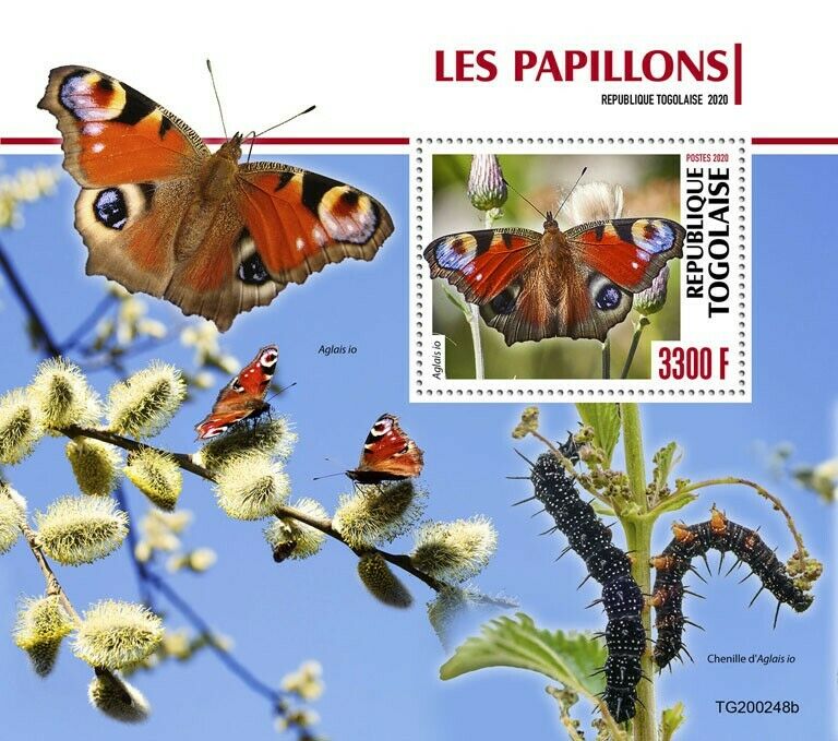 Togo Butterflies Stamps 2020 MNH Peacock Butterfly Insects 1v S/S