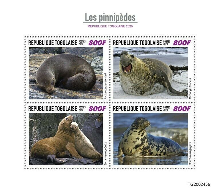 Togo Wild Animals Stamps 2020 MNH Seals Pinnipeds Marine Mammals 4v M/S