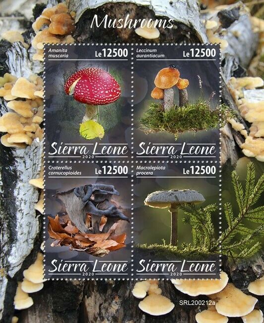 Sierra Leone Mushrooms Stamps 2020 MNH Fungi Fly Agaric Nature 4v M/S