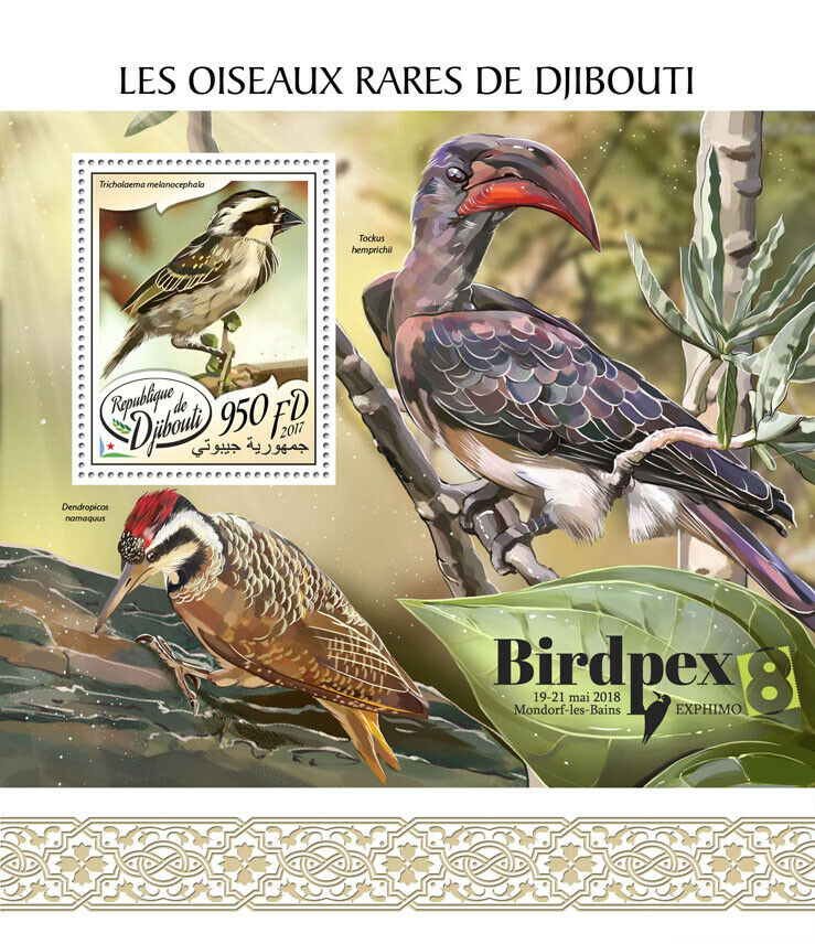 Djibouti Rare Birds on Stamps 2017 MNH Birdpex Woodpeckers Barbets 1v S/S