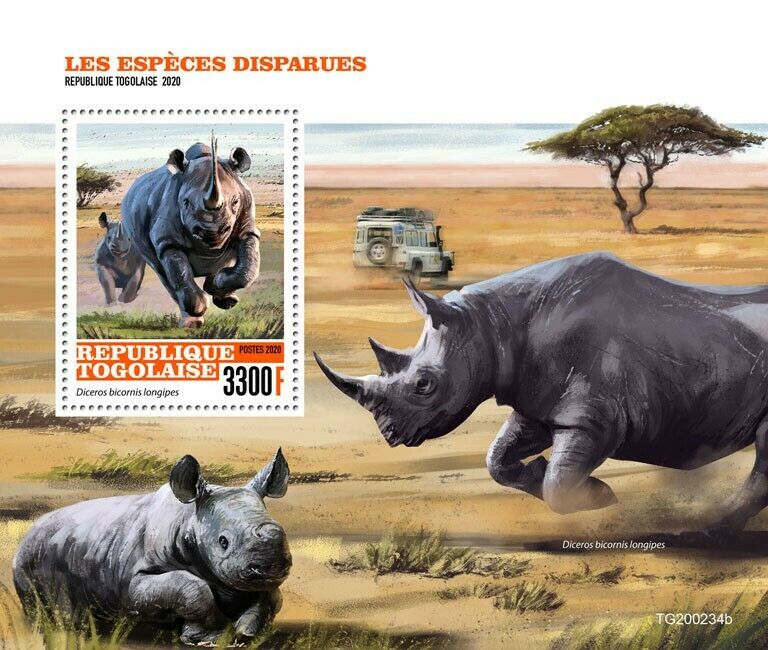 Togo Wild Animals Stamps 2020 MNH Extinct Species Rhinos Rhinoceros 1v S/S