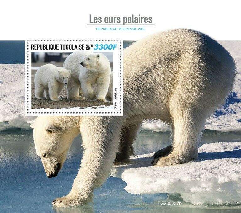 Togo 2020 MNH Wild Animals Stamps Polar Bears Bear Arctic Fauna 1v S/S