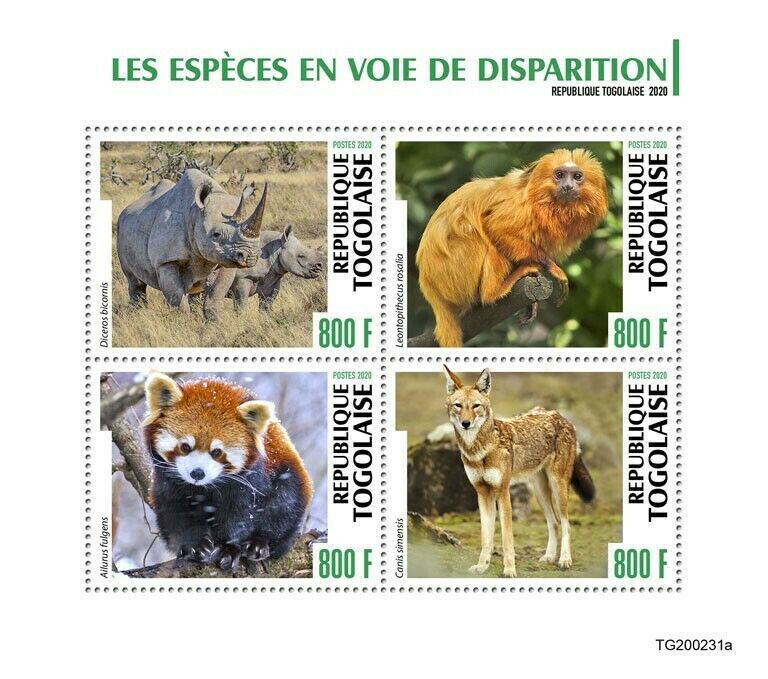 Togo Wild Animals Stamps 2020 MNH Endangered Species Rhinos Monkeys Pandas 4v MS