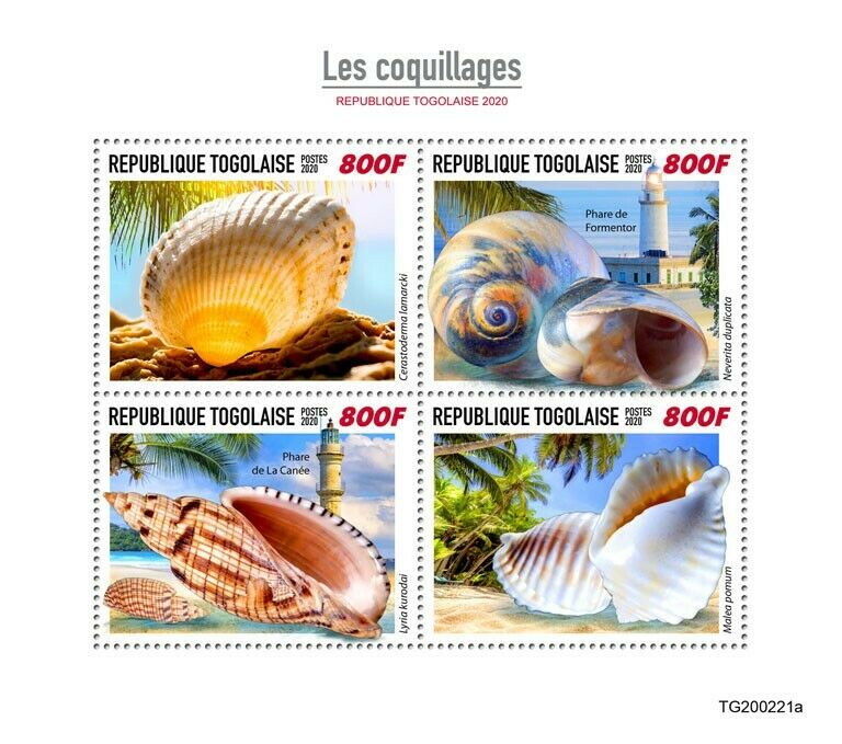 Togo Seashells Stamps 2020 MNH Shells Lyria Maleo Cerastoderma Marine 4v M/S