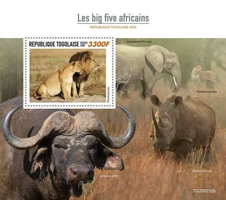 Togo 2020 MNH Wild Animals Stamps Big Five Elephants Leopards Lions Fauna 1v S/S