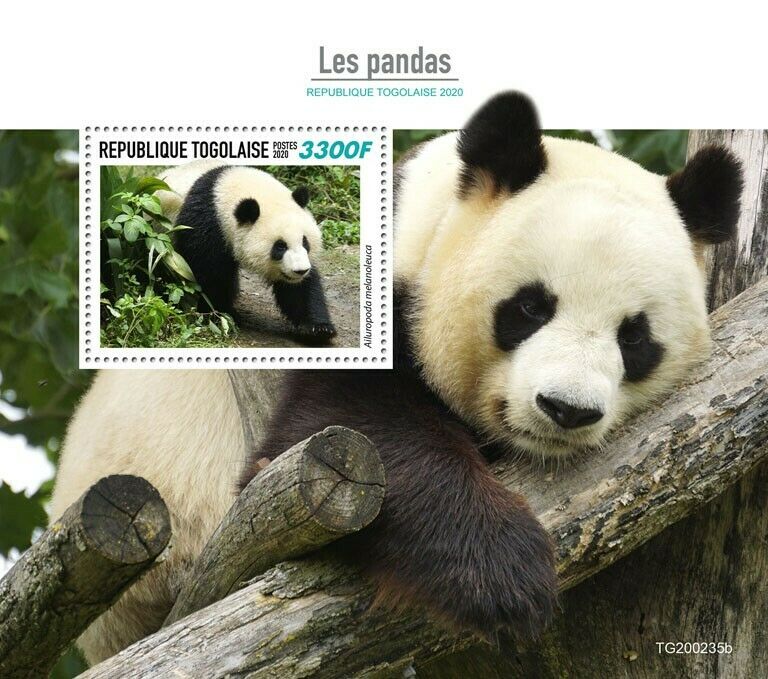 Togo Wild Animals Stamps 2020 MNH Pandas Giant Panda Bears Fauna 1v S/S