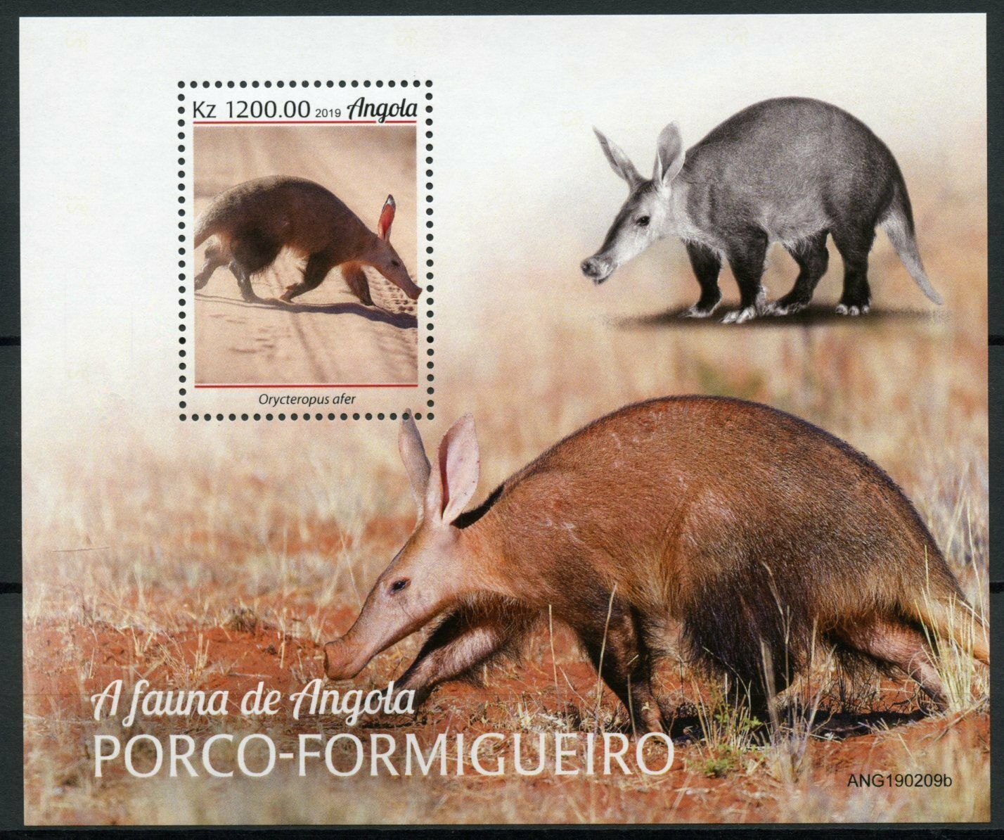 Angola Wild Animals Stamps 2019 MNH Aardvarks Aardvark Fauna 1v M/S