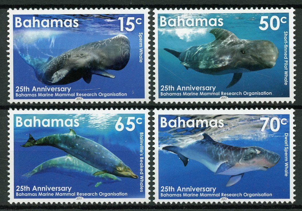 Bahamas 2017 MNH Whales Stamps Marine Mammal Research Pt II Animals 4v Set