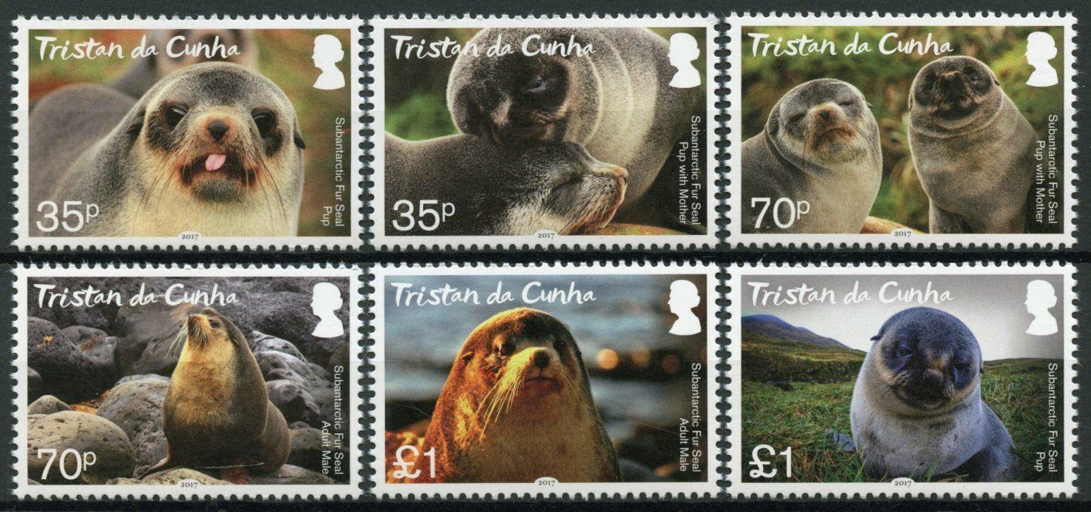 Tristan da Cunha Wild Animals Stamps 2017 MNH Subantarctic Fur Seal Seals 6v Set