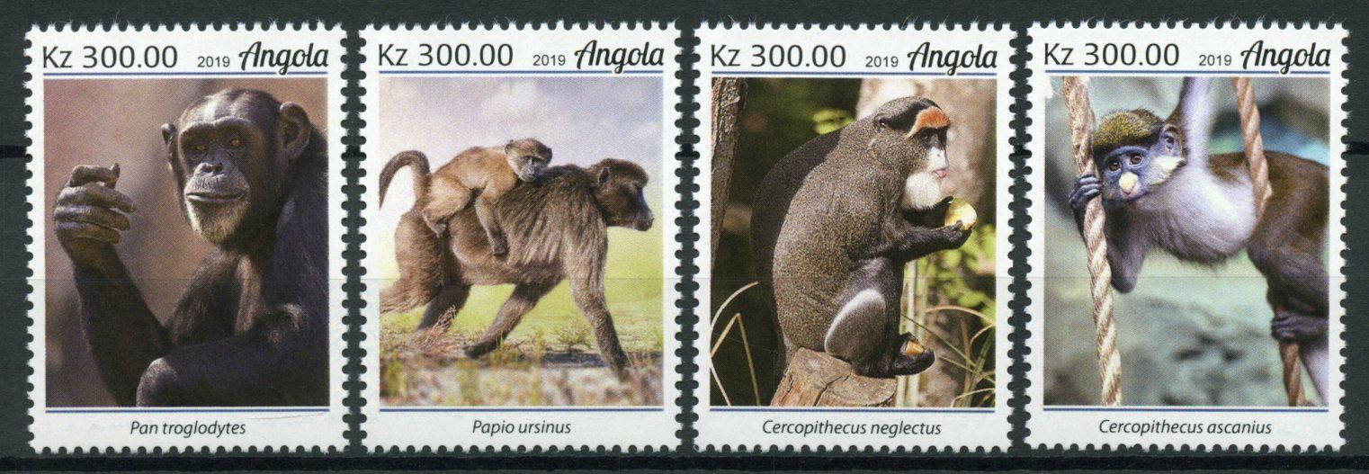Angola Wild Animals Stamps 2019 MNH Monkeys Chimpanzees Baboons Fauna 4v Set