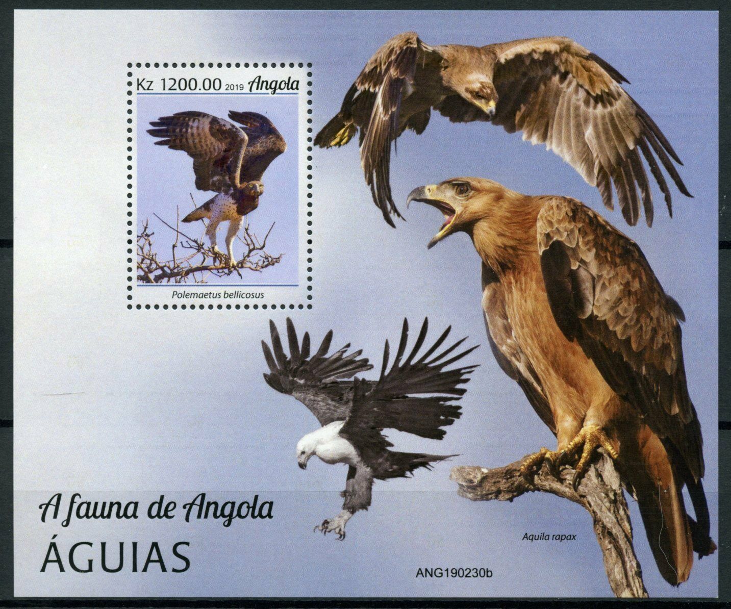 Angola 2019 MNH Birds of Prey on Stamps Eagles Martial Eagle Fauna 1v M/S