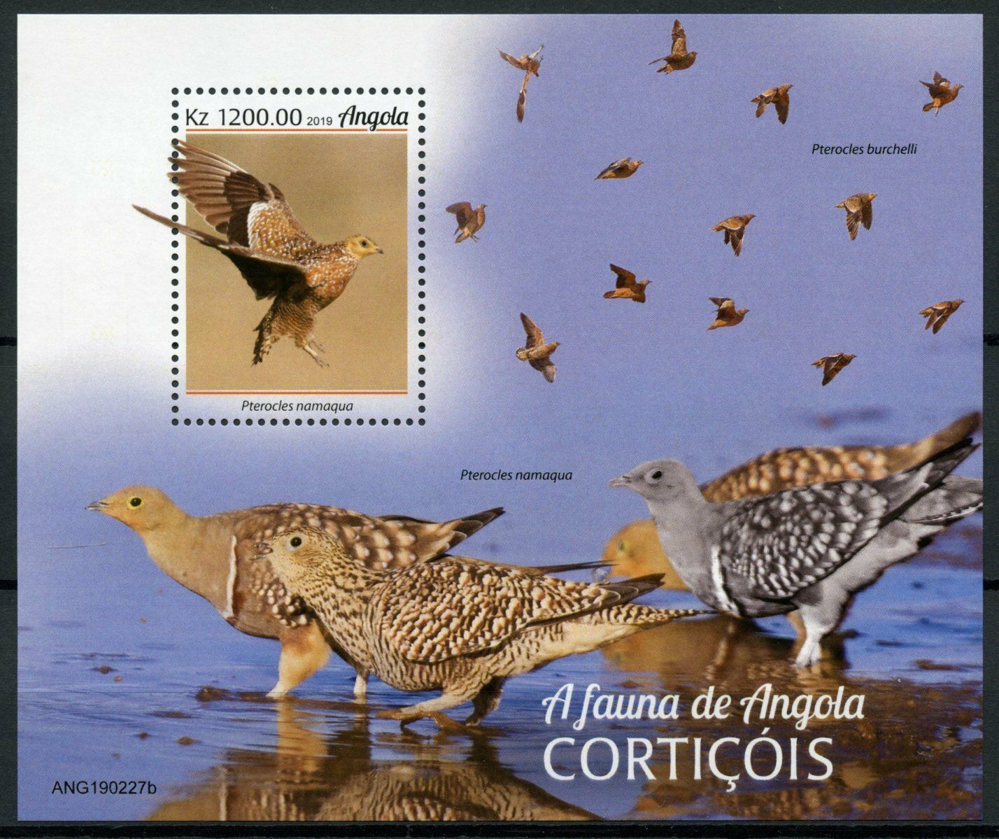 Angola Birds on Stamps 2019 MNH Sandgrouses Namaqua Sandgrouse Fauna 1v M/S