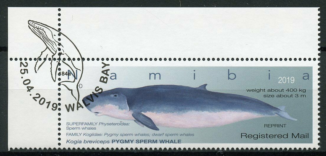 Namibia 2019 CTO Whales Stamps Pygmy Sperm Whale R/P Marine Animals 1v Set