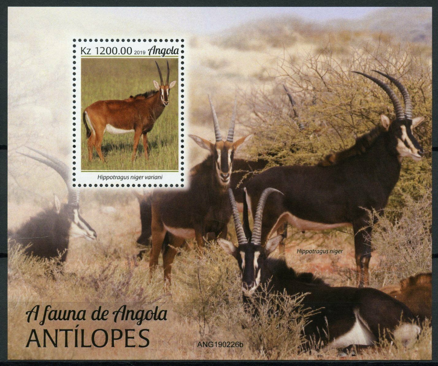 Angola Wild Animals Stamps 2019 MNH Antelopes Giant Sable Antelope Fauna 1v M/S