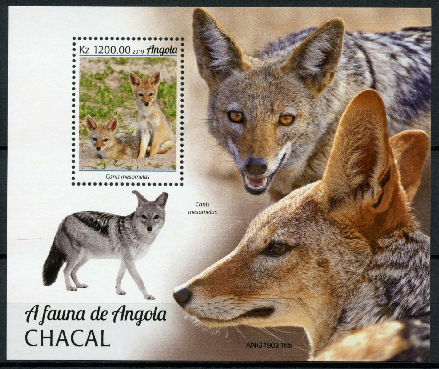 Angola Wild Animals Stamps 2019 MNH Jackals Black-Backed Jackal Fauna 1v M/S