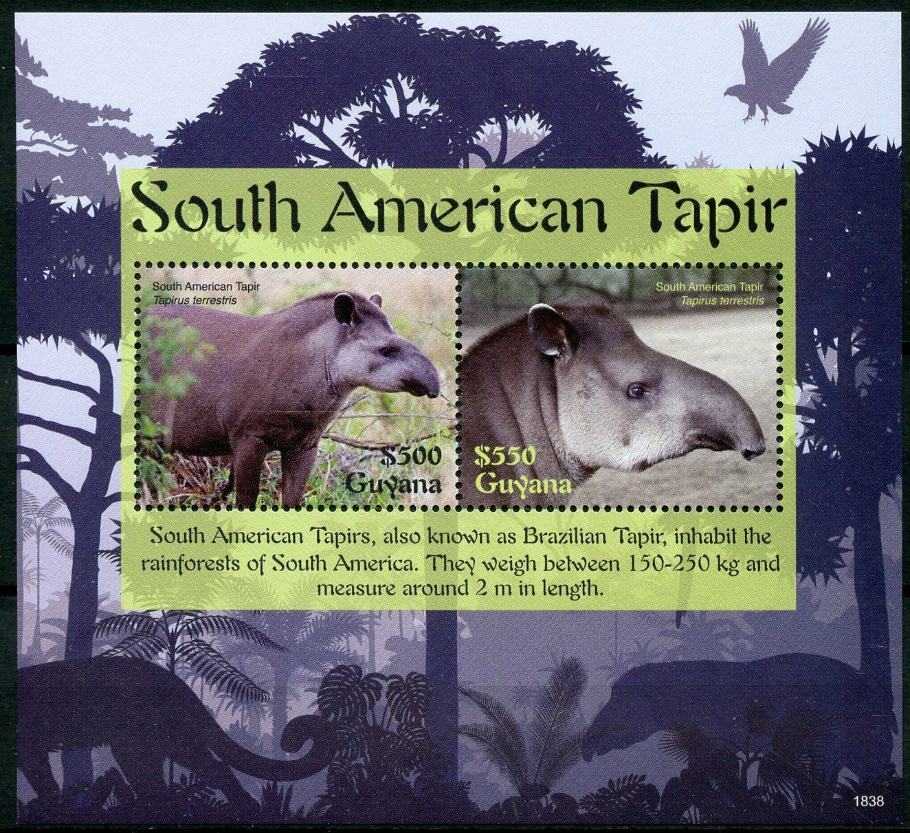 Guyana 2018 MNH Wild Animals Stamps South American Tapir Tapirs Mammals 2v S/S