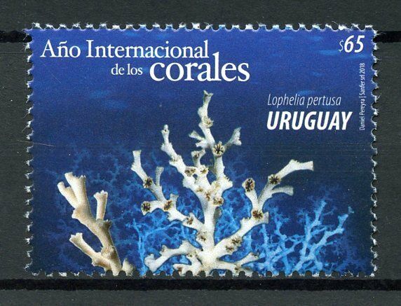 Uruguay Stamps 2018 MNH IYOR International Year of Reef Corals Marine 1v Set