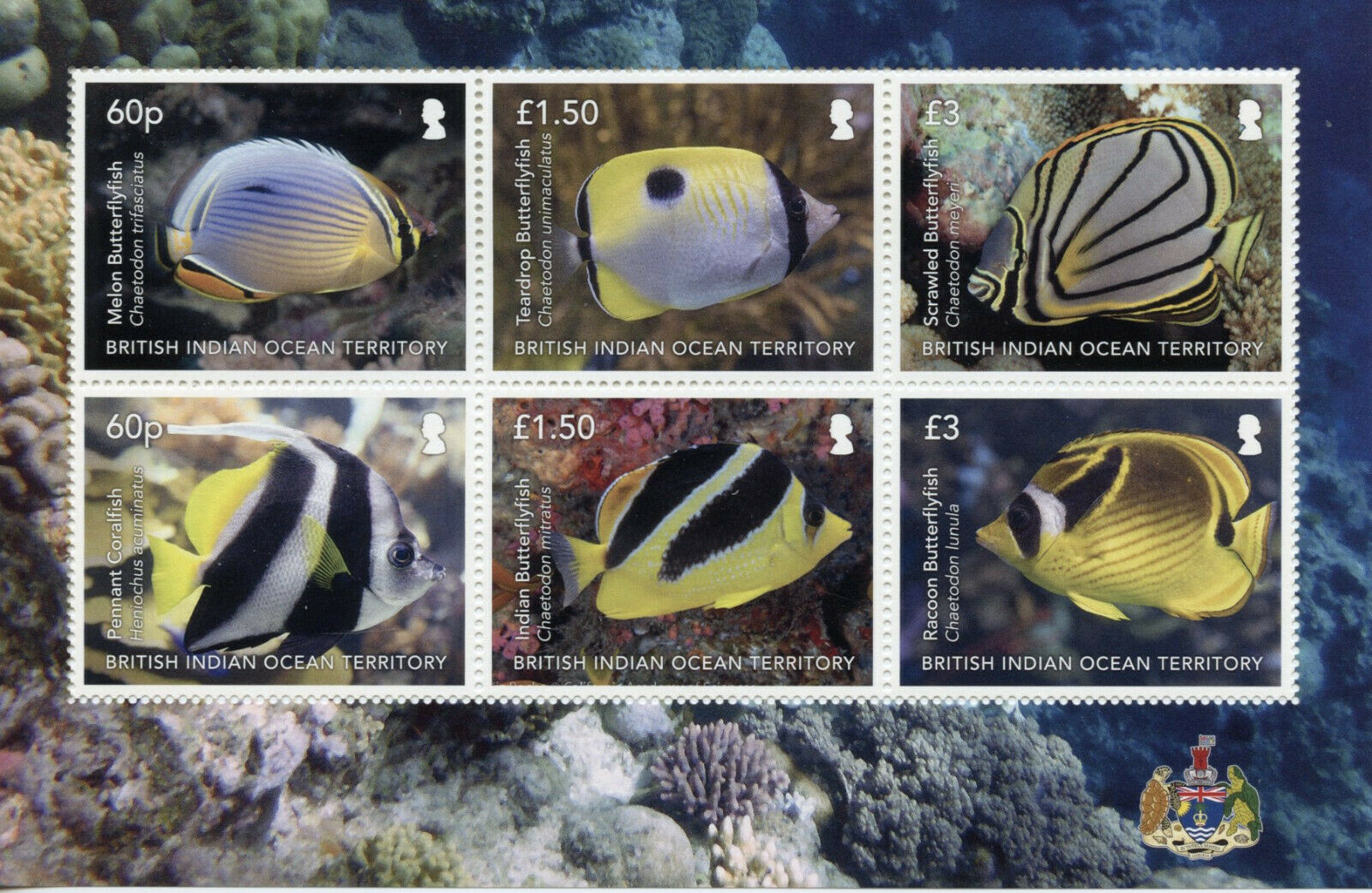 BIOT 2020 MNH Fish Stamps Indian Butterflyfish Pennant Coralfish Fishes 6v M/S