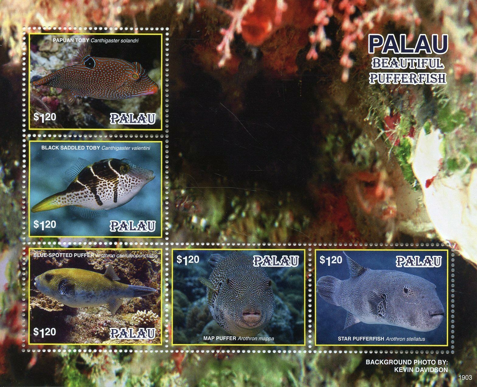 Palau 2019 MNH Fish Stamps Beautiful Pufferfish Toby Puffer Fishes 5v M/S