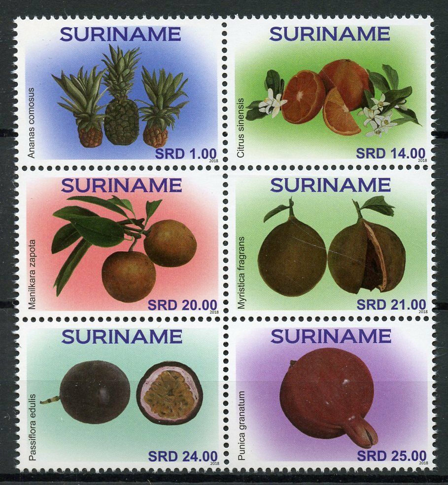 Suriname Fruits Stamps 2018 MNH Fruit Oranges Sapodilla Plants Nature 6v Block