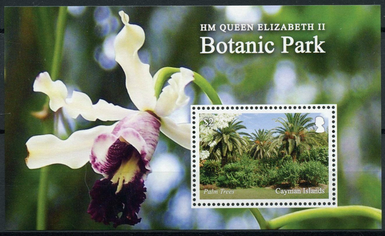 Cayman Islands 2020 MNH Flowers Stamps Queen Elizabeth II Botanic Park Orchids 1v M/S